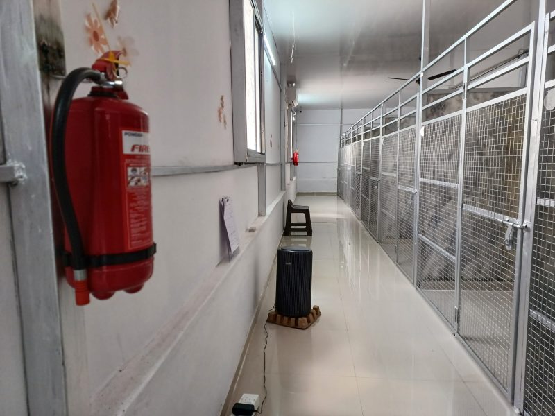 Boarding Passage — Gravity Pets Home facility